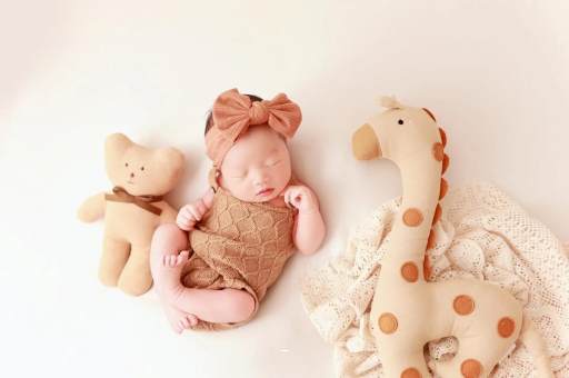 西藏宝宝虾的做法